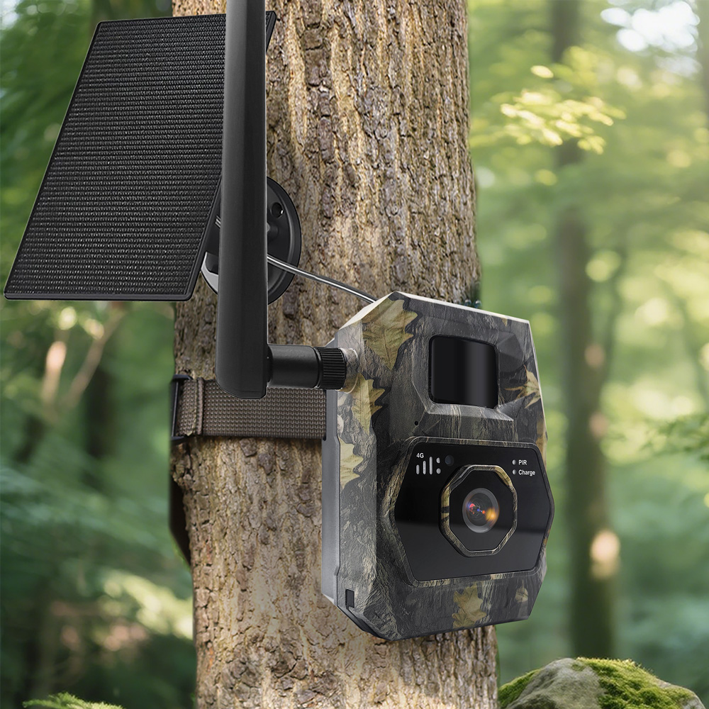 VISUAL_REF_SECONDARY_2