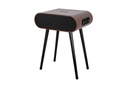ENCEINTE HAUT DE GAMME 120W SUR PIED