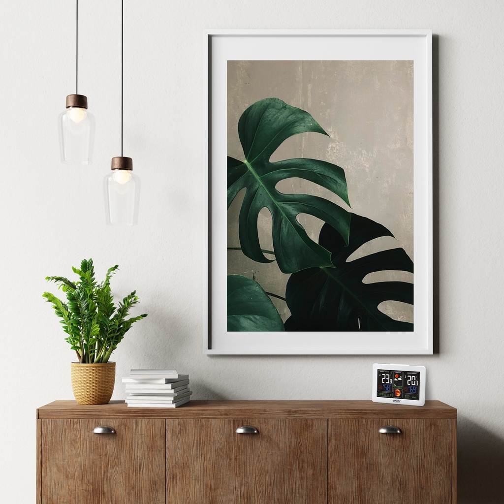 STATION METEO BLANCHE COULEUR