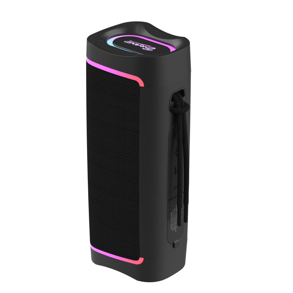 ENCEINTE ETANCHE 2X5W