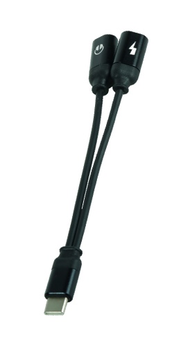 [001646] DEDOUBLEUR TYPE C / JACK / TYPE C