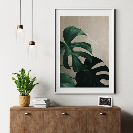 [990038] STATION METEO BLANCHE COULEUR