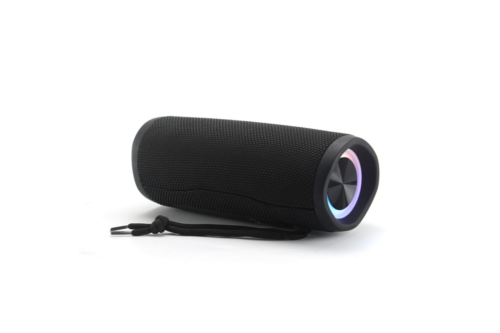 ENCEINTE ETANCHE 2X5W